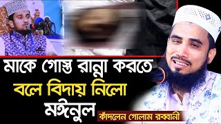 মাকে গোস্ত রান্না করতে বলে বিদায় নিলো মঈনুল কাঁদলেন গোলাম রব্বানী Golam Rabbani Mainul Islam Waz