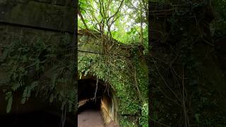 Hiking in the Trail #三貂嶺生態友善隧道 #三貂嶺步道 #自行車道 #健行 #健走 #hiking #trail #tunnel #Biking  #sandiaoling