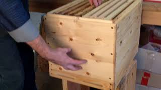 Український корпусний вулик. Beekeeping (04.02.2020р.)