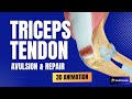 Triceps Tendon Avulsion and Repair: Rare but Serious