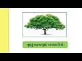 vruxo aapna mitro gujarati nibandh વૃક્ષો આપણા મિત્રો essay on tree