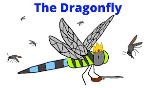 The Dragonfly - The Most Overpowered Solo Insect Part 1