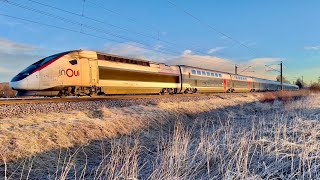 Zugsichtungen/Vorbeifahrten Augsburg-Ulm - Frühling 2024 - ICE, ECE, TGV, IC, Sonderzüge - 4K