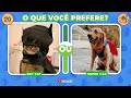 🔁 o que vocÊ prefere 🐶🐈 animais fofinhos o jogo das escolhas mais cuti cuti ✨ quiz macaquiz