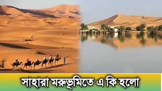 সাহারা মরুভূমিতে হঠাৎ কেন বন্যা || Flood in sahara desert morocco (রহস্যময়)