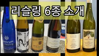 리슬링(riesling) 와인 6종 소개