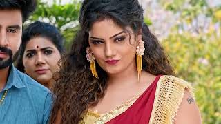 Vaidehi Parinayam - వైదేహి పరిణయం - Telugu Serial - EP - 564 - Karuna Bhushan - Zee Telugu