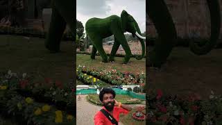 അനന്തപുരി പൂക്കുന്നു... Santhigiri Flower Show 2024 | Trivandrum #santhigiri #flowershow  #grace