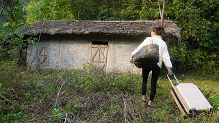 The girl returned to the abandoned old house and cleared the weeds - Harvest 1000kg cassava to sell