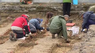 Hallados 53 cuerpos de víctimas del franquismo en Vizcaya