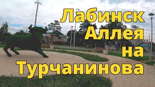 Аллея на улице Турчанинова в городе Лабинск