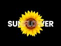 Amazing Text Effect With CSS