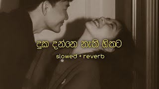 දුක දන්නෙ නැති හිතට | Duka danne nathi hithata ( slowed + reverb )