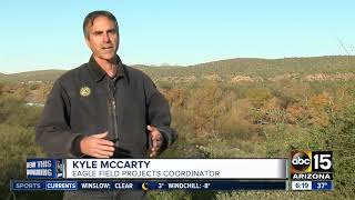 Bald eagle population on the rise in Arizona