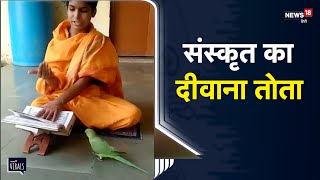 OMG | Sanskrit का दीवाना Parrot, देखकर हर कोई है हैरान | MP Ajab Hai | Mandsaur | Viral Video