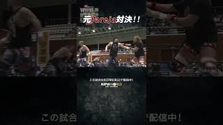 新日本プロレス『WORLD TAG LEAGUE 2024』(12.2) 元パレハ対決‼#shorts