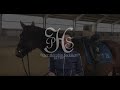 Peter Horobin Saddlery Rider Liviana speaks about her saddles!