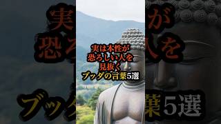 ㊗️40万回再生✨実は本性が恐ろしい人を見抜くブッダの言葉5選 #ブッダ #仏教 #名言