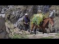 Melodías De Mi Tierra (QuiullaDanza-Rima Rima- Caballo Huaycho- Oh San Pedro)- Sumergidos S.P.C