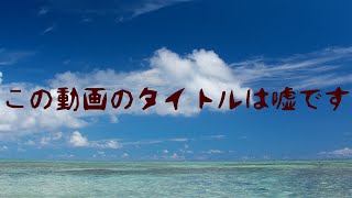 概要欄に書いてあることは嘘です