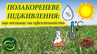 ПОЗАКОРЕНЕВЕ ПІДЖИВЛЕННЯ: фактори впливу на ЕФЕКТИВНІСТЬ