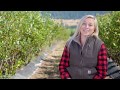 Careers in Agriculture: Farm Manager - Ellie Norris