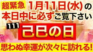 “己巳の日”の本日中に必ずご覧ください※あなたの思いが即現実化🌟弁財天様のご利益で思っても見ない幸運が舞い込んできます!!【1月11日(水)大大吉祈願】【奇跡が起こる高波動エネルギー動画】