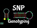 SNP Genotyping | Microarray Based SNP Genotyping |