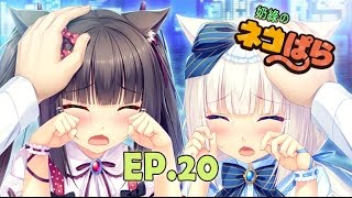 奶綠1號-《ネコぱら Vol.1》EP.20：貓娘樂園！