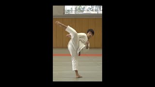 Pronunciation & Technique of Top 7 Karate Kicks! #shorts