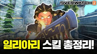 [최초 공개] 신규 영웅 '일리아리' 스킬에 관한 신기한 사실 99가지!