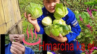 Harvesting of cabbage(zikhlum kan la)