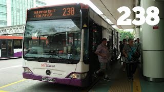 Hyperlapse - SBS Transit Feeder 238