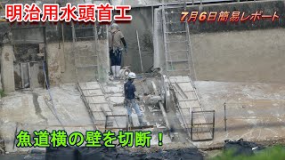 【明治用水頭首工】左岸魚道の壁を切断！【7月6日簡易レポート】