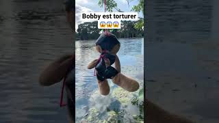 Bobby est torturer😱😱😱