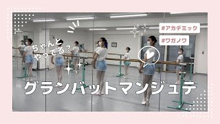 【見なきゃ損！見たら得！⑩最終回】グランバットマンジュテ