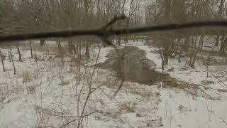 Sherp plays in puddle- Canadian Winter Sherp Tours