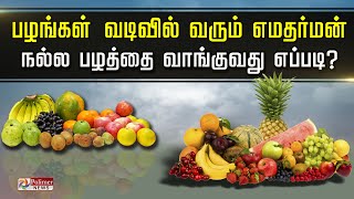 பழங்கள் வடிவில் வரும் எமதர்மன்... நல்ல பழத்தை வாங்குவது எப்படி? | Fruits