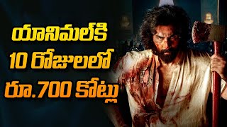 యానిమల్ కి 10 రోజుల‌లో రూ.700 కోట్లు | Animal Movie Day 10 Total Collection | Ranbir Kapoor