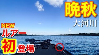 【晩秋の大河川の思考法】効率重視の晩秋のバスの見つけ方。一本をどうキャッチする？【水の旅＃ １７４】