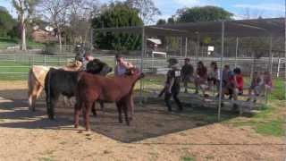 Harlem Shake (Fullerton FFA Farm Style