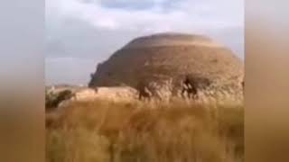 САРДОБА!!! 🏜️