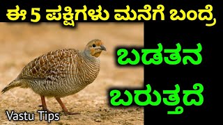 ಈ 5 ಪಕ್ಷಿಗಳು ಮನೆಗೆ ಬಂದ್ರೆ ಬಾರೀ ಬಡತನ ಬರುತ್ತದೆ | Vastu Shastra tips in kannada about 5 Birds