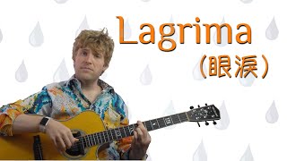 吉他教學：指彈/古典歌曲Lagrima （Francisco Tarrega）