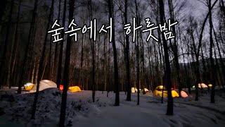 밤이 아름다운 정선 자작나무숲 백패킹 / 눈내린 숲속에서 신상텐트 첫피칭 / 텐트계의 펜트하우스 힐레베르그 나마츠2gt  /운탄고도 백패킹