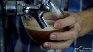 The Brew Lab | Science in the City | Exploratorium