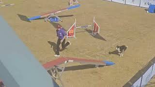 제3회 KAO(Korea Agility Open Championship) '2025 WAO 국가대표선발전