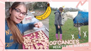 Recette de Friandises pour poney à la banane 🍌🍭