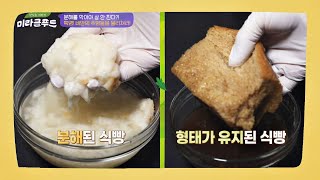 다이어트 TIP)) 섭취한 음식의 분해·흡수 억제에 도움 주는 '시서스' 맛있는 이야기 미라클 푸드(Miracle Food) 125회 | JTBC 210828 방송