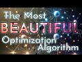 The Particle Swarm Optimization Algorithm